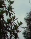 【看点】登汪家砦（散文）