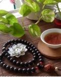 【菊韵】记忆里的月光（散文诗）