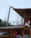 【实力派写手选拔赛】 “天子”之城  （游记散文）