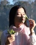 【丹枫】冬至已至，念如初（散文）