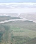 【柳岸】独立黄河 （散文诗）