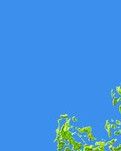 【楚汉】冬日抒怀（古韵）