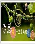 【冰心】你是我最美的相遇（诗歌）