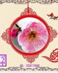 【荷塘“有奖金”征文】满天的雨雪，交融着千年的浪漫（诗歌）