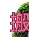 【荷塘“有奖金”征文】搬 家 趣 话（散文）