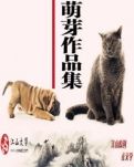【赏析】天然童心，灿烂童星