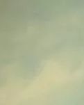 【风恋】致初恋--谢谢你教会我如何去爱（随笔）