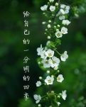 【天涯“我的生活故事”征文】给自己的一个分明的四季（诗歌）