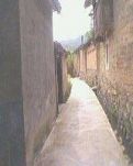 【丁香青春】巷道，村庄变迁的见证（散文）