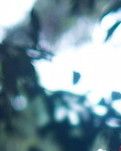【楚汉】 你永远在我的心里