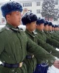 【丁香青春】学会坚定地行走（散文）