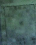 【实力写手选拔赛】 冰雪来客  （散文）