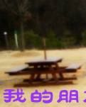 【菊韵】你在吉林还好吗（诗歌）