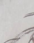 【赏析】花木成垄手自栽