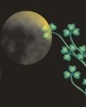 【丹枫】夜的最后一章（散文）