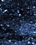 【山水】雪雨二首（古韵）