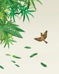 【山水】他们快乐地走了（陪伴.诗歌）