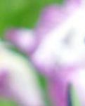 【天涯“我的生活故事”征文】那些美好记忆（散文）