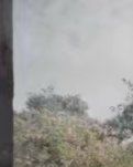【丹枫】十八岁的感叹（诗歌）