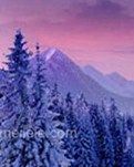 【实力写手选拔赛】雪之魂（小说）