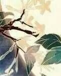 【山水】我轻轻地做了一个梦（诗歌）