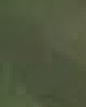 【实力派写手选拔赛】瞳孔有秋（组诗）