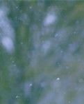 【天涯】雪中书（诗歌）