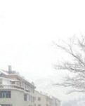 【荷塘“有奖金”征文】七绝.咏雪（十首）（中华新韵）