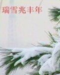 【江山多娇】瑞雪兆丰年（散文）