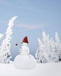 【楚汉】七律-雪韵（五首古韵）