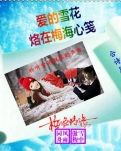 【荷塘“有奖金”征文】梅雪情缘（诗歌）