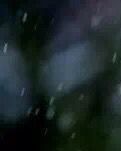【丹枫】清晨（诗歌）