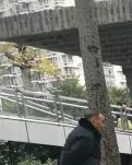 【丹枫】立春（诗歌）