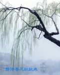【丹枫】莺啼序（古韵）