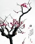 【星月】梅花的神韵（散文）