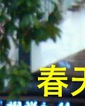 【山水】春天里的夜市街（诗歌· 外三首）