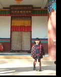 【丹枫】凡尘中的那份宁静（杂文）