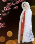 【荷塘“有奖金”征文】新年思绪飞（诗歌）