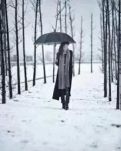 【荷塘“PK大奖赛”】春雪映出我的影（诗歌）