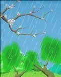 【看点•春韵】早春夜听雨 （散文）