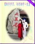 【荷塘“PK大奖赛”】执手岁月，与你相守一生（诗歌）