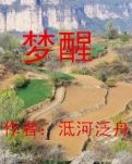 【冰心】梦醒（小说）