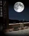 【丹枫】想你，却不说（散文）