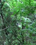 【晓荷.四季的故事】春来正当时（散文）