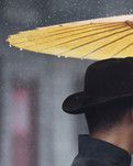 【丹枫】小雨淋湿了雪花（诗歌）
