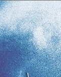 【西窗】写给另一个世界的分行（诗两首）