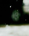 【浪花】雪（系列诗三首）