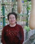 老鼠生儿会打洞