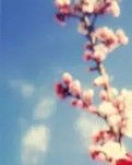 【晓荷·四季的故事】春光肆意（外两首·诗歌）