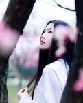 【荷塘“PK大奖赛”】仰视，那一树春花（诗歌）